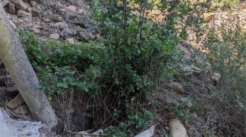 Foto 4 de Finca rústica en venda a Sant Mateu de Bages, Barcelona