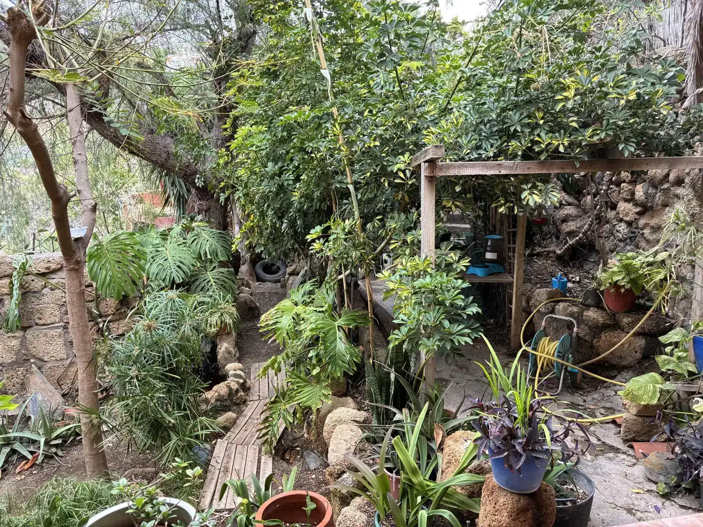 Jardí de Casa adosada en venda en Granadilla de Abona amb Jardí privat, Parquet i Moblat