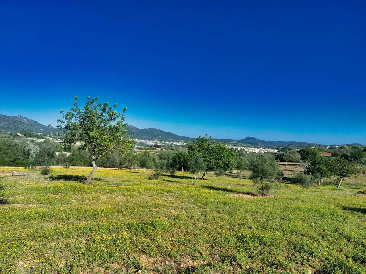 Rural land for sale in Poligono 5 723, imagen 56