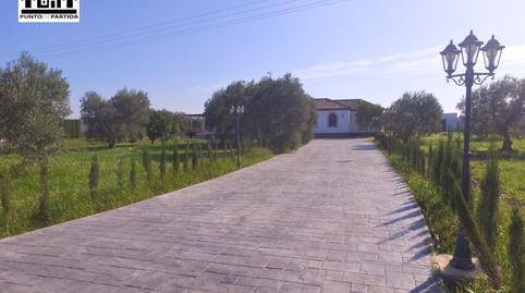 Photo 3 of Country house for sale in Torre Cruz - Los Molinos, Sevilla