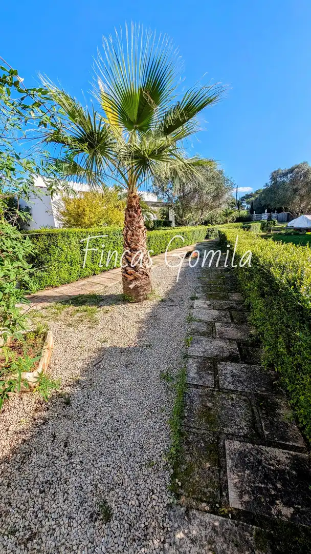 Vista exterior de Finca rústica en venta en Sant Lluís con Jardín privado