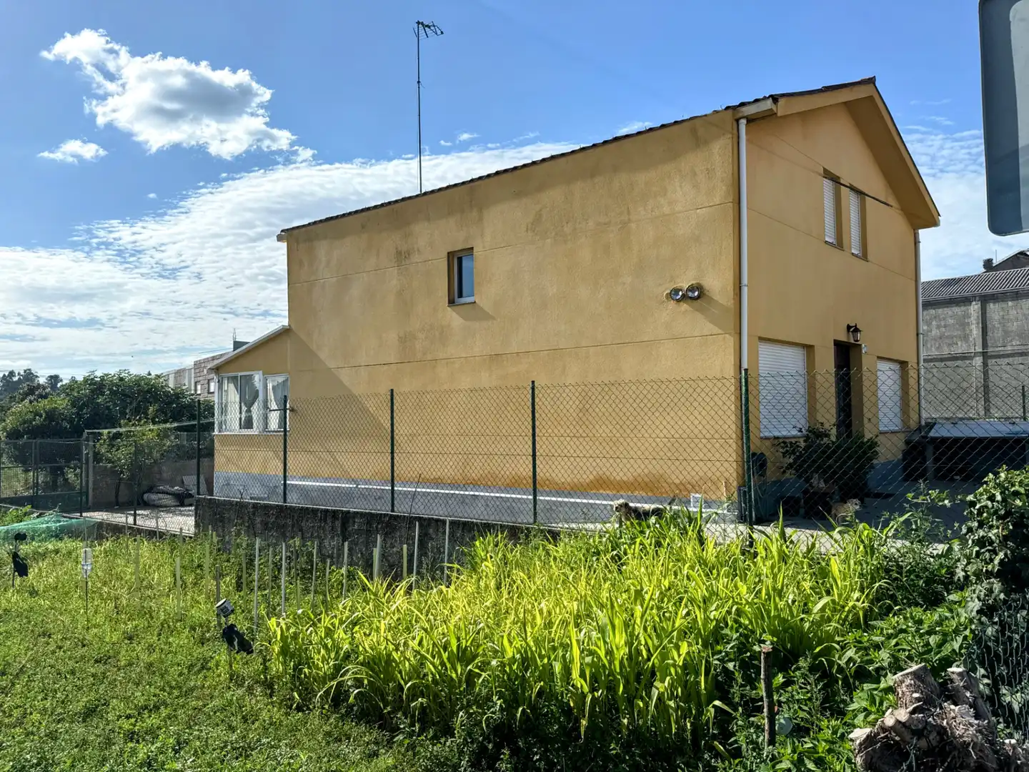 Vista exterior de Casa o xalet en venda en Carballo amb Terrassa