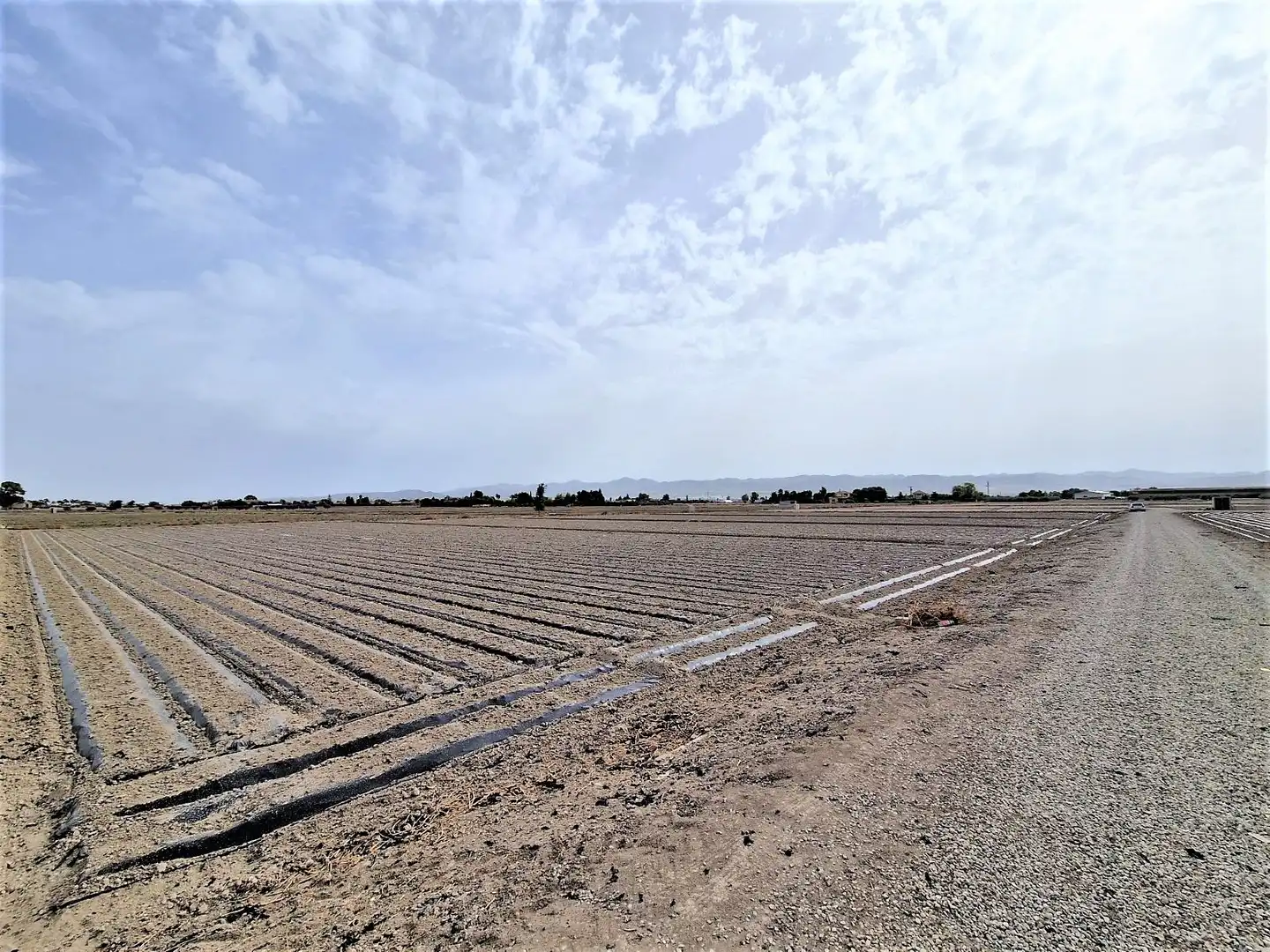 Residential land for sale in Pedanías Centro, imagen 6