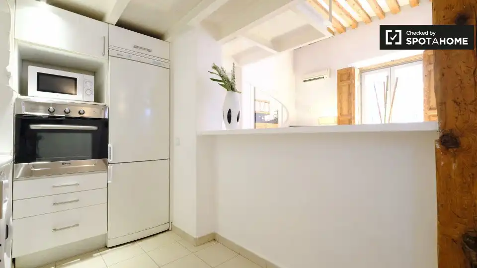 Wohnung mit Terrasse zur Miete in Centro, imagen 14
