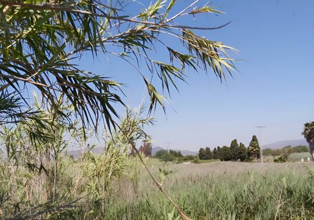Terreno residencial en Venta en SECTOR SUNP-4 PLAYA DE SAGUNTO, 29. parcel, -1 en Corinto - Almarda