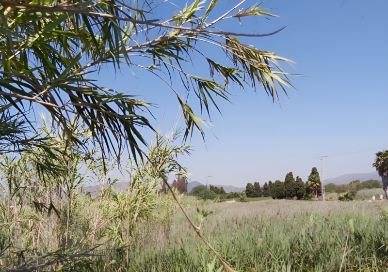 Vista exterior de Residencial en venta en Sagunto / Sagunt