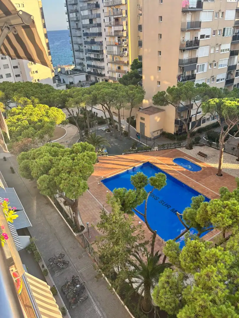 Piscina de Pis en venda en Els Pins