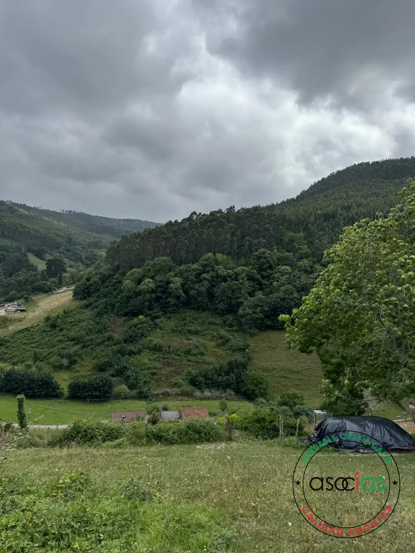 Terreny en venda en Villaviciosa