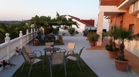 Foto 4 de Finca rústica en venta en Villanueva del Río y Minas, Sevilla