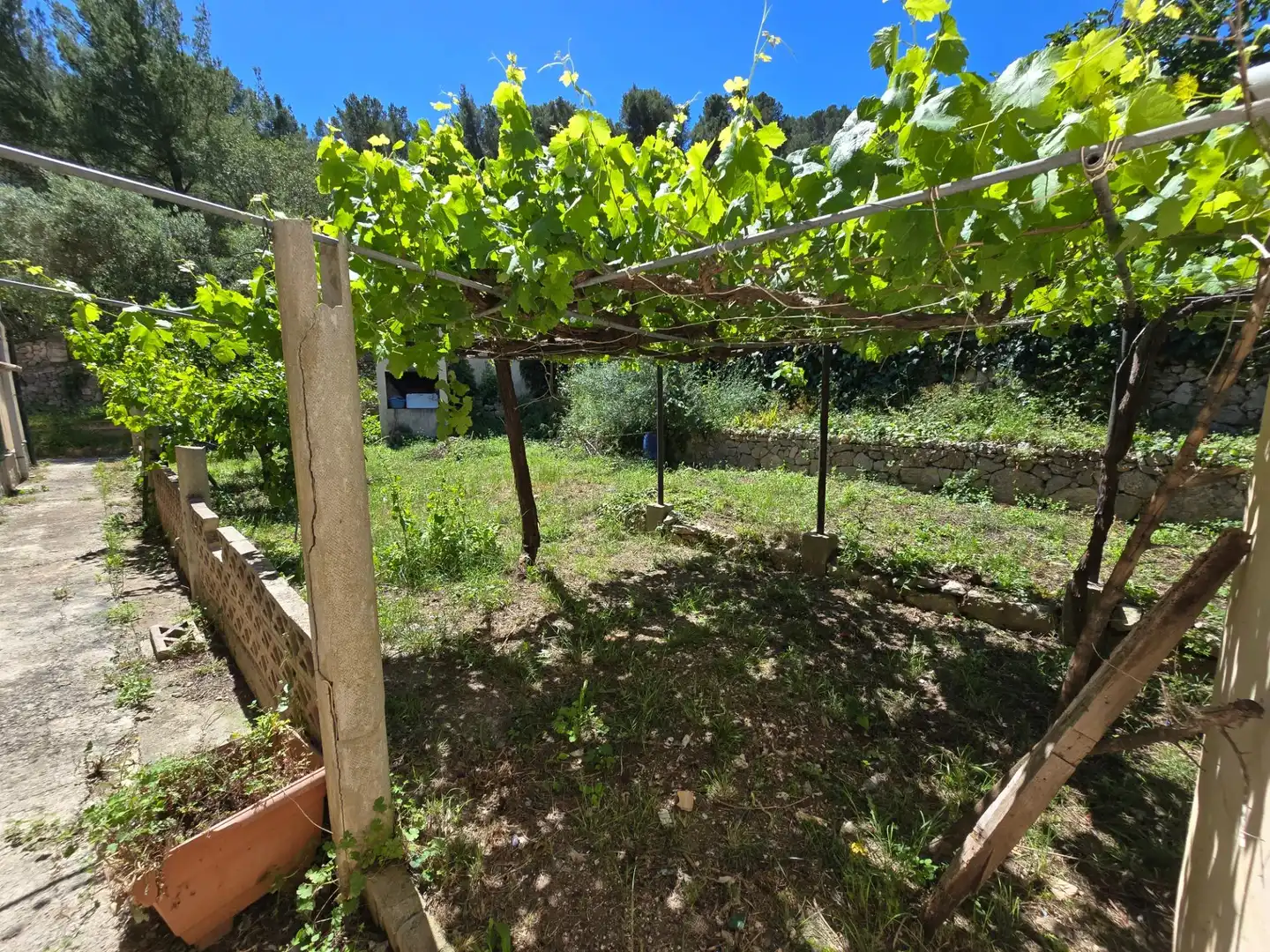 Jardí de Casa o xalet en venda en Mancor de la Vall amb Terrassa, Traster i Piscina