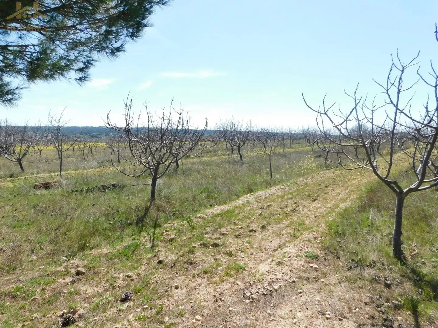 Terreno en venta en Villa del Prado