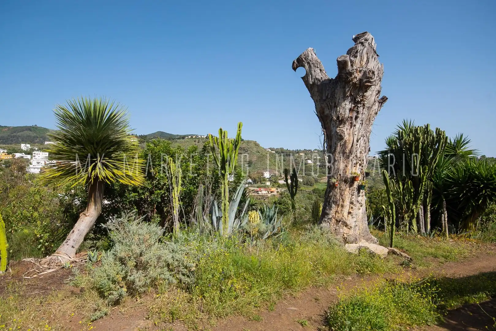 Jardín de Residencial en venta en Teror