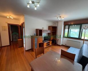 Sala d'estar de Apartament de lloguer en Pontevedra Capital  amb Calefacció, Parquet i Traster