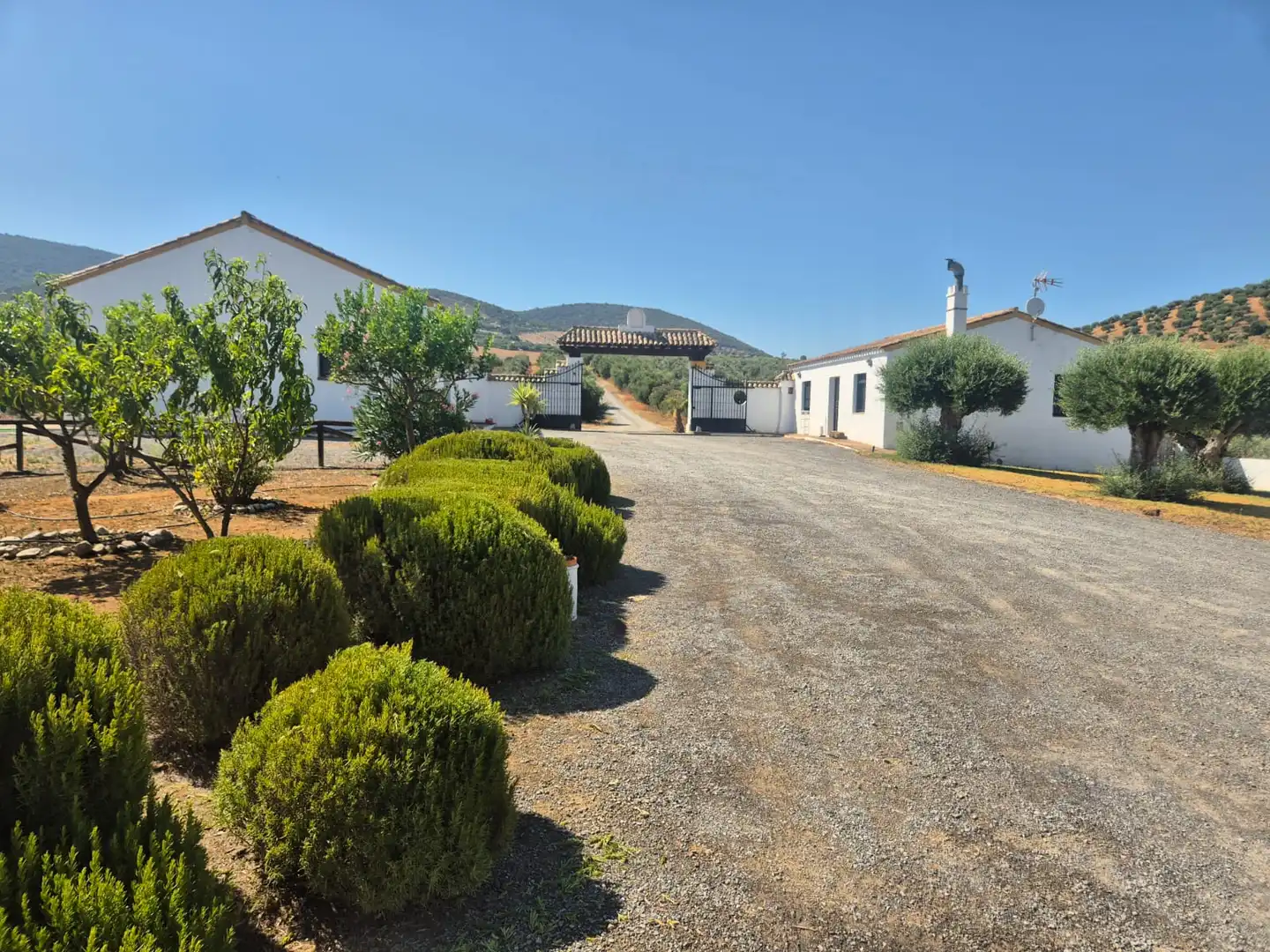 Vista exterior de Finca rústica en venda en Puerto Serrano amb Aire condicionat, Calefacció i Jardí privat