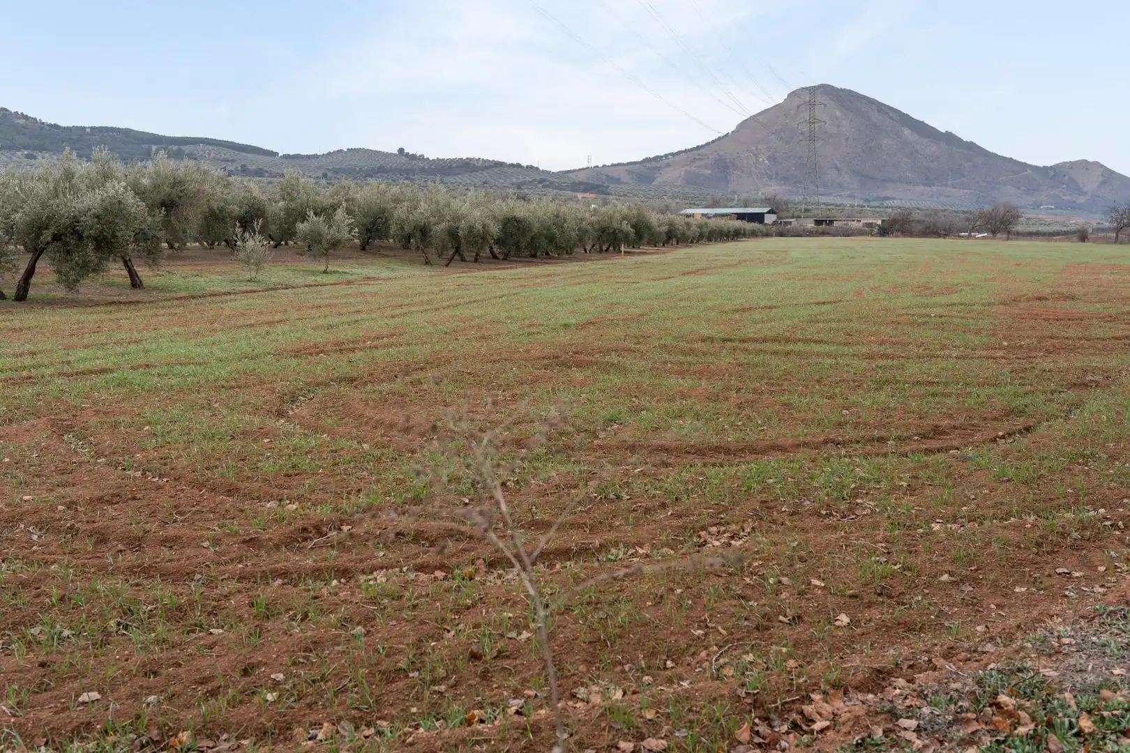 Terrenys i solars en venda a Polígono 23 Parcela 63 LA ZANJA. ALBOLOTE (GRANAD 23, imagen 14