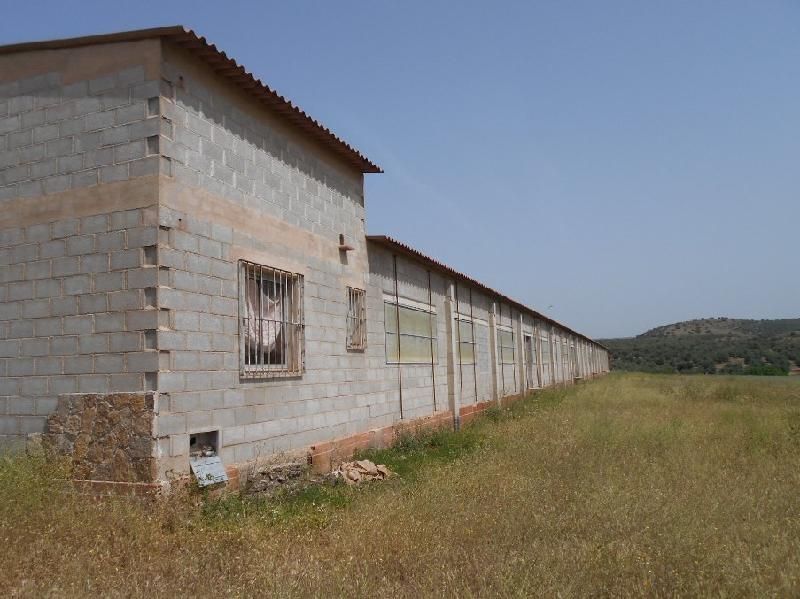 Exterior view of Industrial buildings for sale in Chiclana de Segura