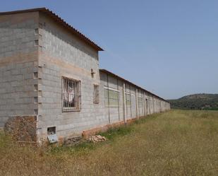 Exterior view of Industrial buildings for sale in Chiclana de Segura