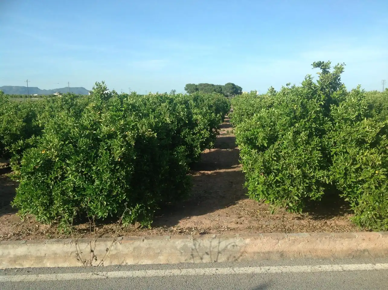 Residencial en venta en Albalat dels Sorells