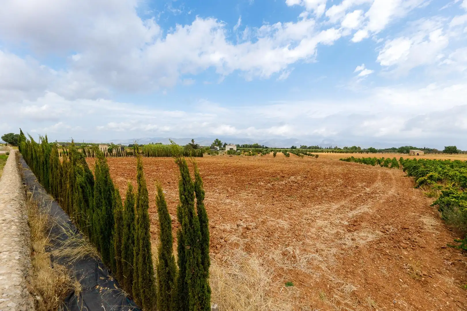 Terreny rústic en venda a Santa Eugènia, imagen 12