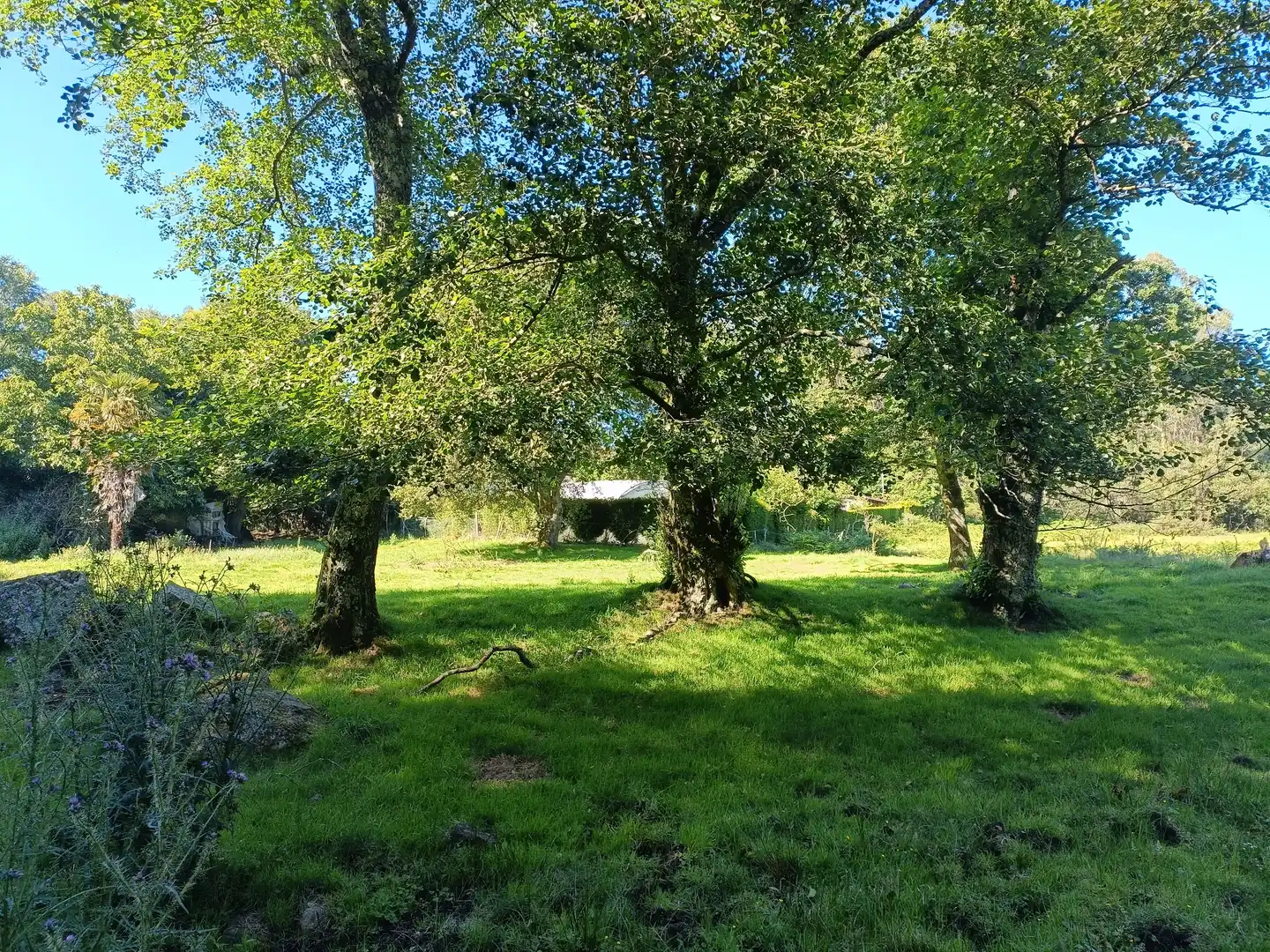 Casa o chalet en venta en Oza dos Ríos con Jardín privado y Trastero