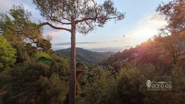 Terreno residencial en Venta en Carrer dels Geranis, 6 en Vallvidrera - Tibidabo - Les Planes