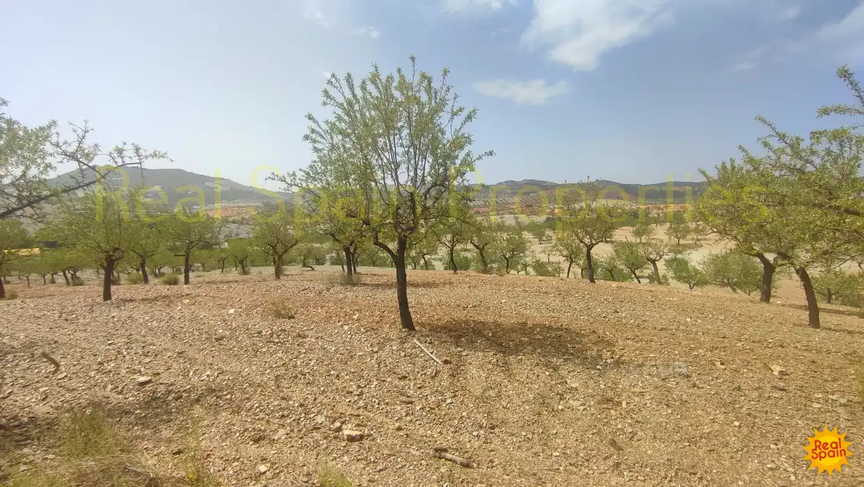 Residential land for sale in Vélez-Rubio, imagen 7