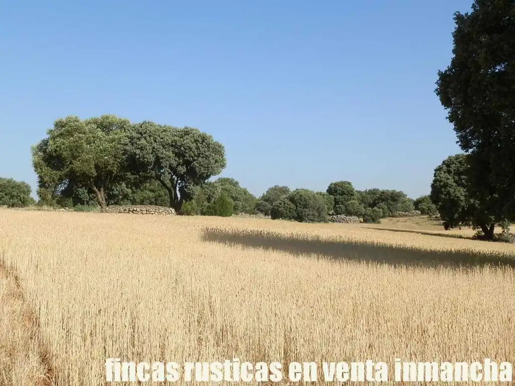 Terreno en venta en Alcaraz
