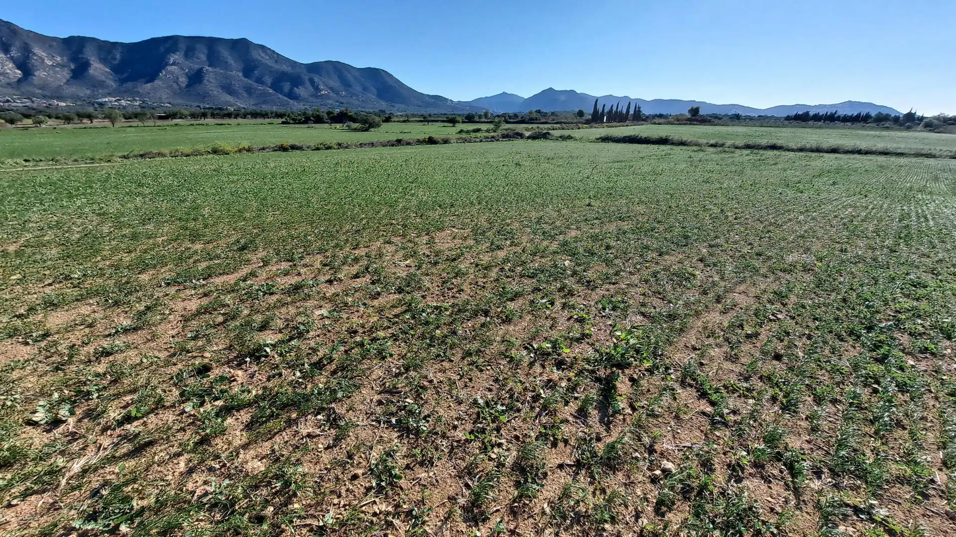 Terrenos y solares en venta en Palau-saverdera, imagen 6
