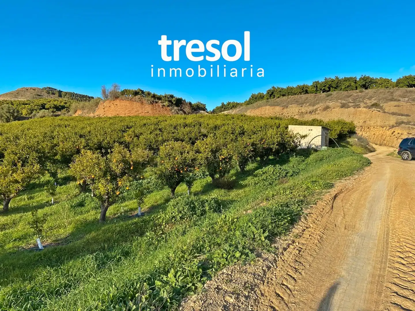 Terreno rustico in vendita a Centro, imagen 7