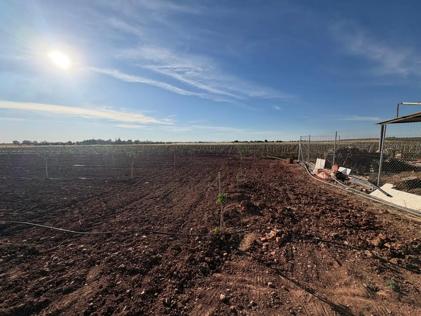 Terreno rustico in vendita a Membrilla, imagen 4