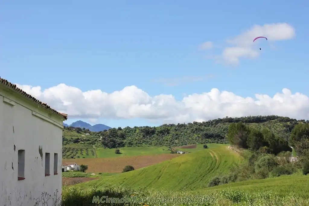 Casa rústica en venda a Algodonales, imagen 50
