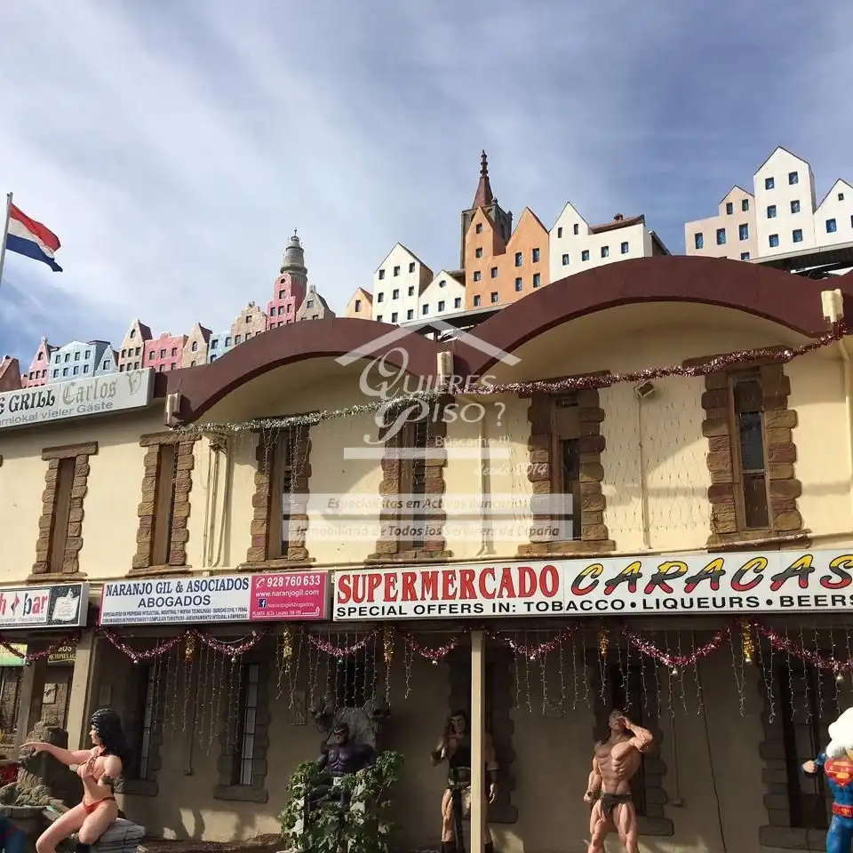 Gewerbefläche zum Verkauf in Avenida de Alemania, imagen 9