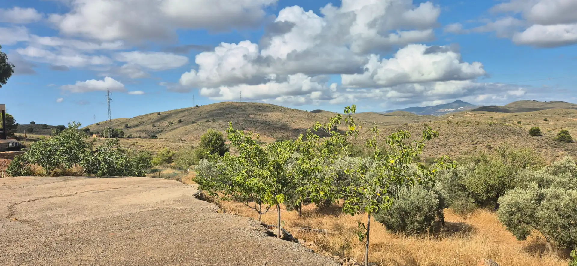Terrain rustique à vendre à Alcolea, imagen 7