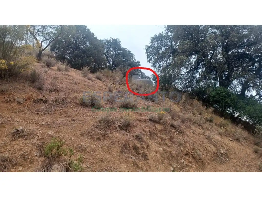 Terrenys i solars en venda a Camino Lagar Brun Bajo, imagen 11