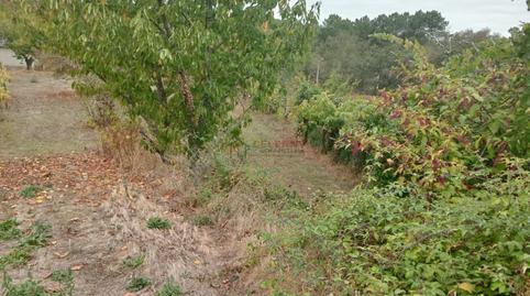 Foto 2 de Residencial en venda a San Cibrao das Viñas, Ourense