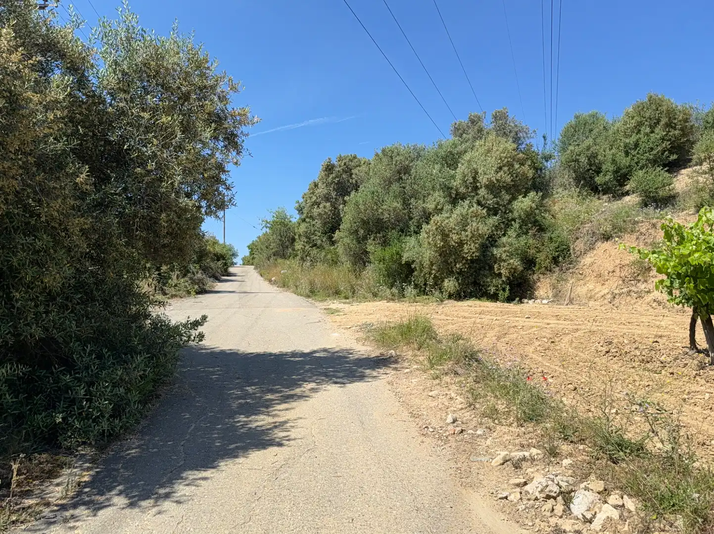 Rustikales Grundstück zum Verkauf in Camí del Cementiri 97, imagen 22