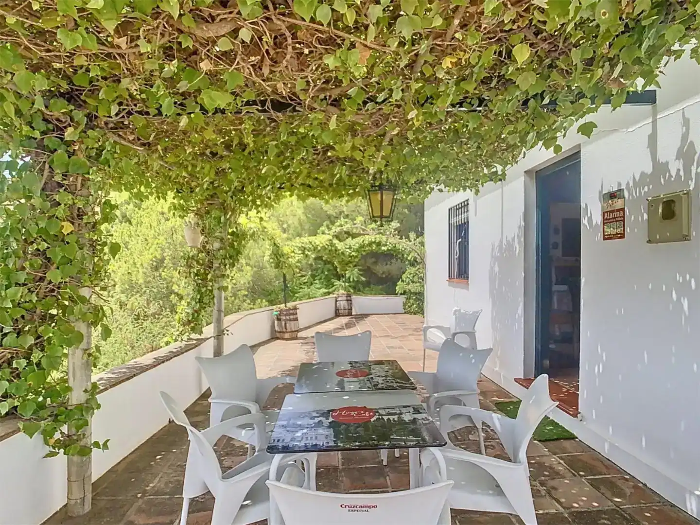 Finca rústica en venda a Camino de Benamayor, 115o, Cómpeta