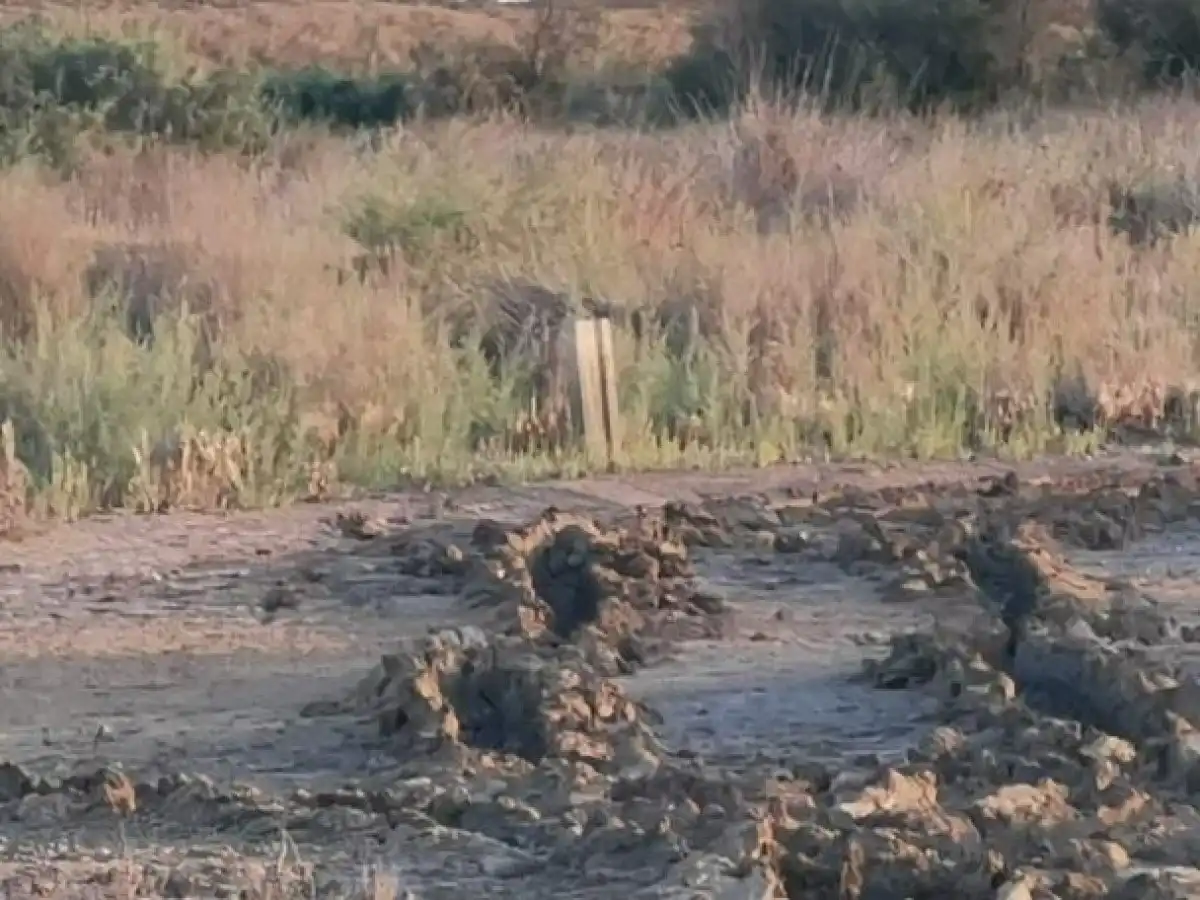 Terreno rustico in vendita a Camino LOS HUERTOS, imagen 18