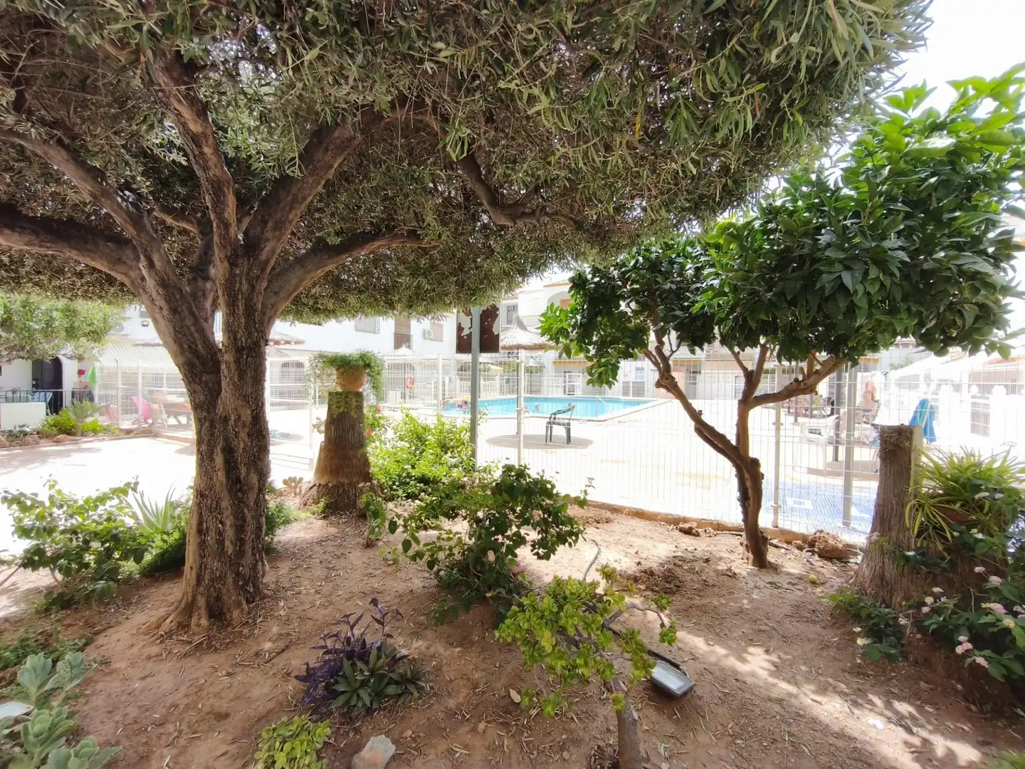 Apartment mit Pool zum Verkauf in CALLE PANTANO DE PUENTES, imagen 3