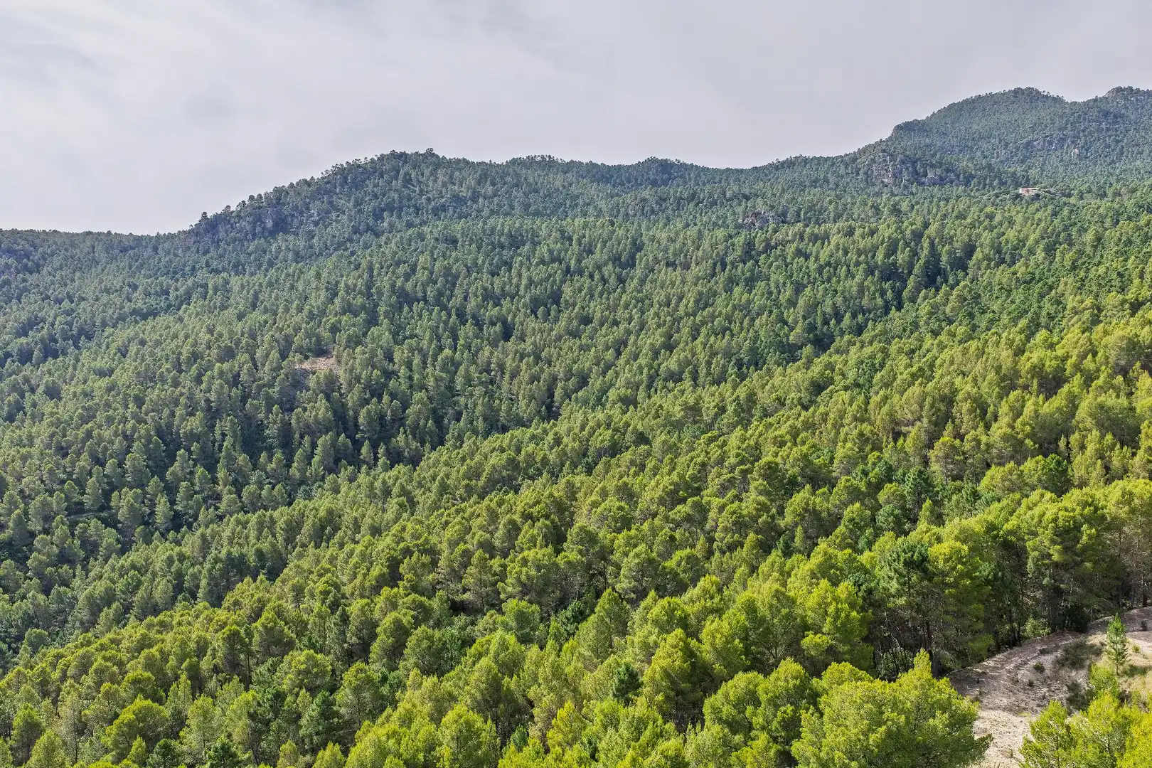 Finca rústica en venta en Moratalla con Piscina