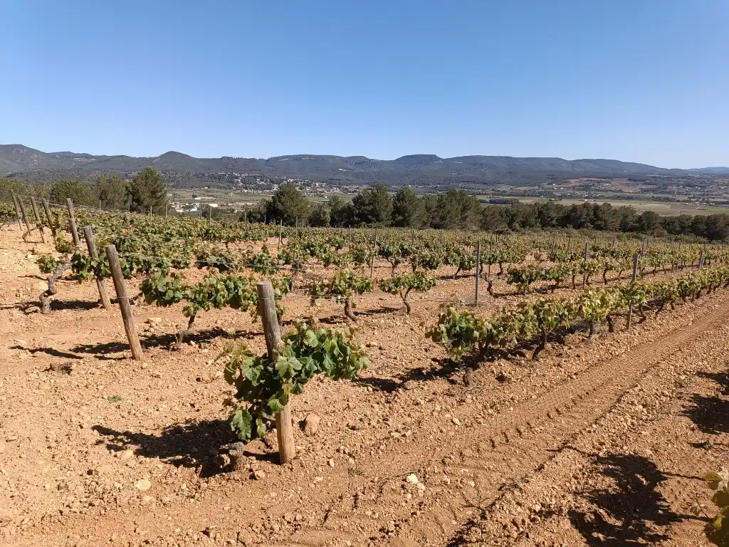 Rustikales Grundstück zum Verkauf in Sant Julià, imagen 5
