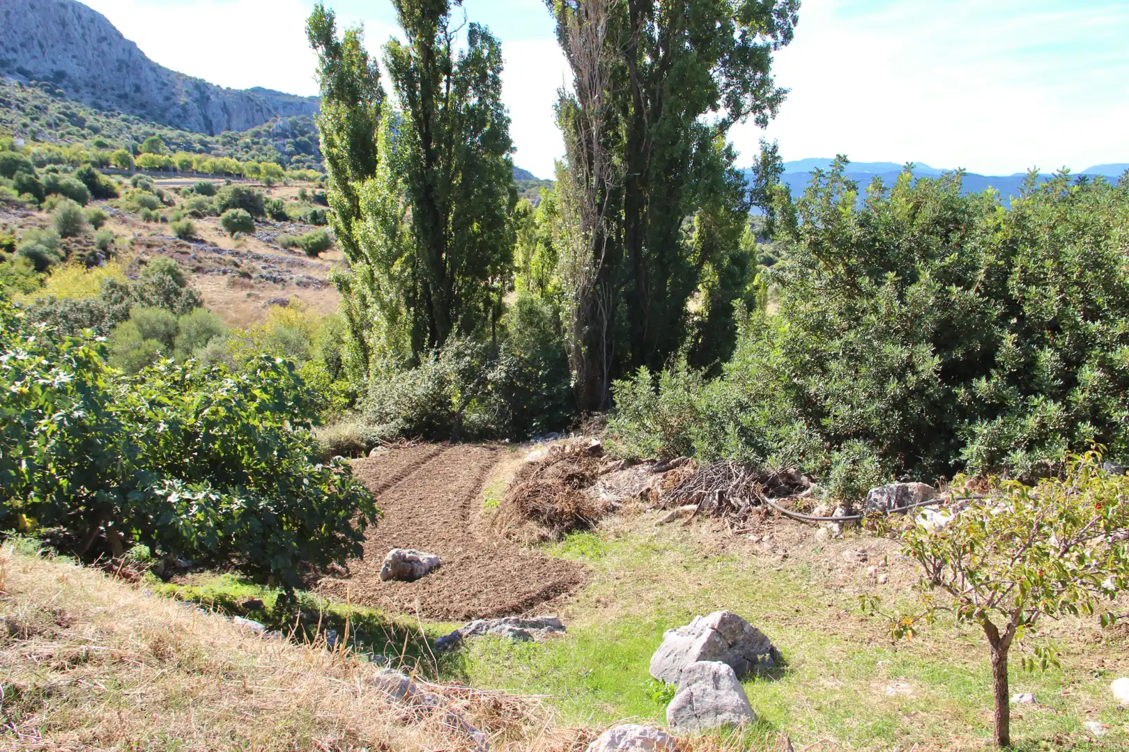 Casa o xalet en venda en Benaocaz amb Jardí privat, Terrassa i Traster