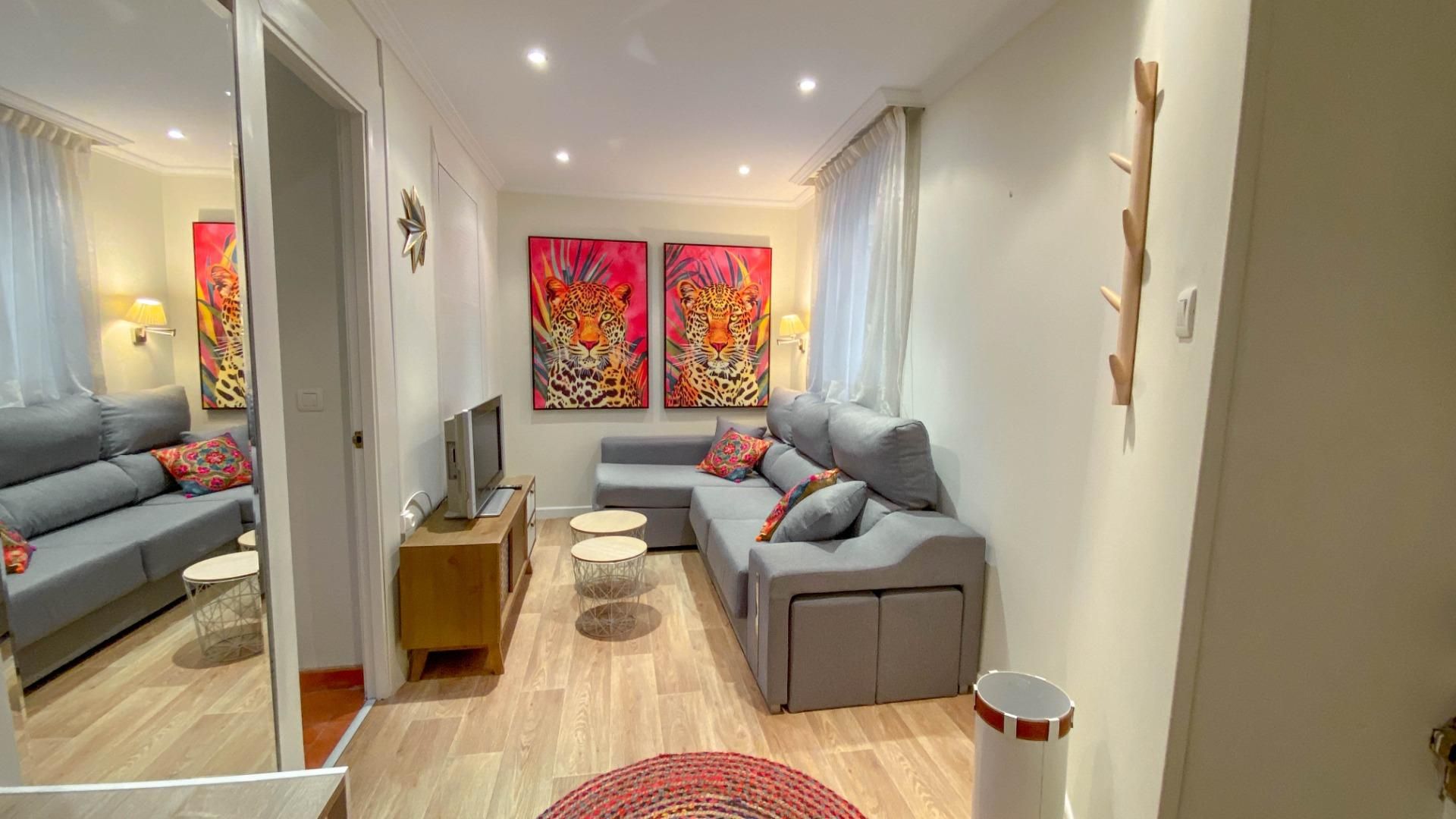 Sala d'estar de Pis de lloguer en Santander amb Calefacció i Moblat