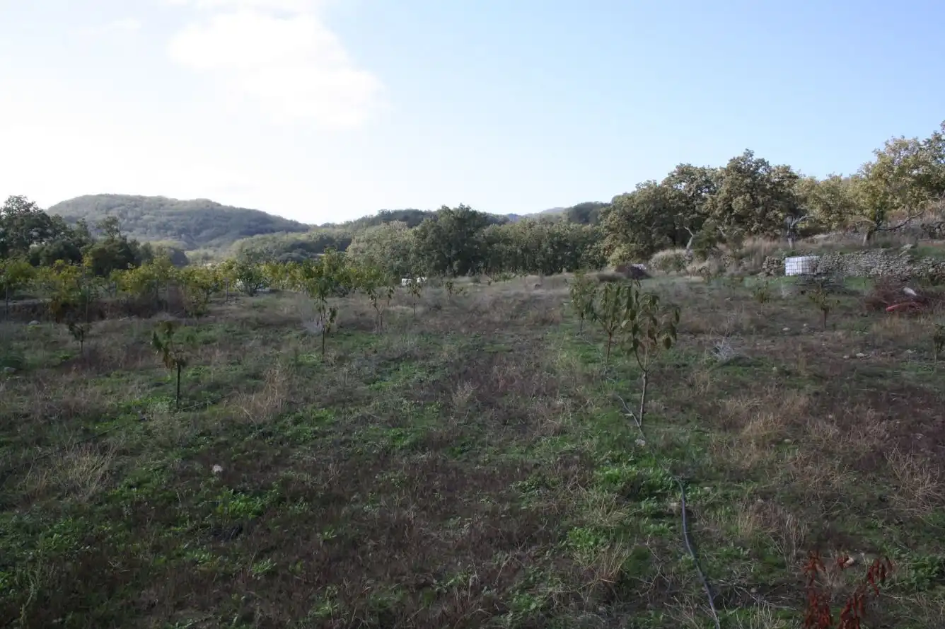 Finca rústica en venta en Torremenga con Jardín privado, Terraza y Amueblado