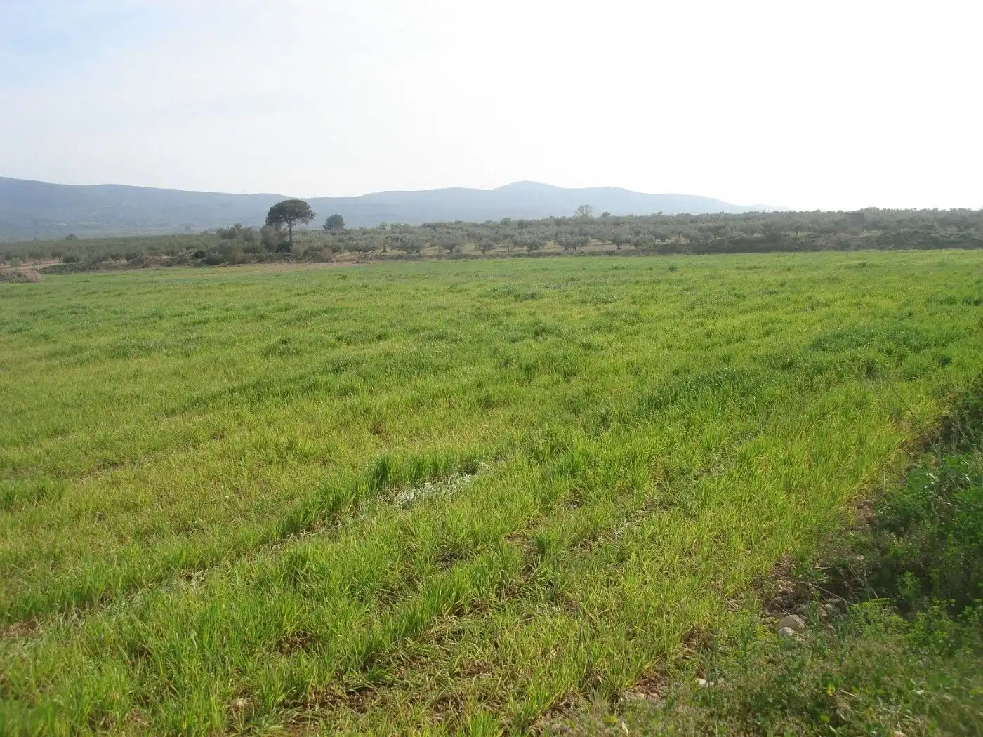 Terreno rustico in vendita a Godall, imagen 6