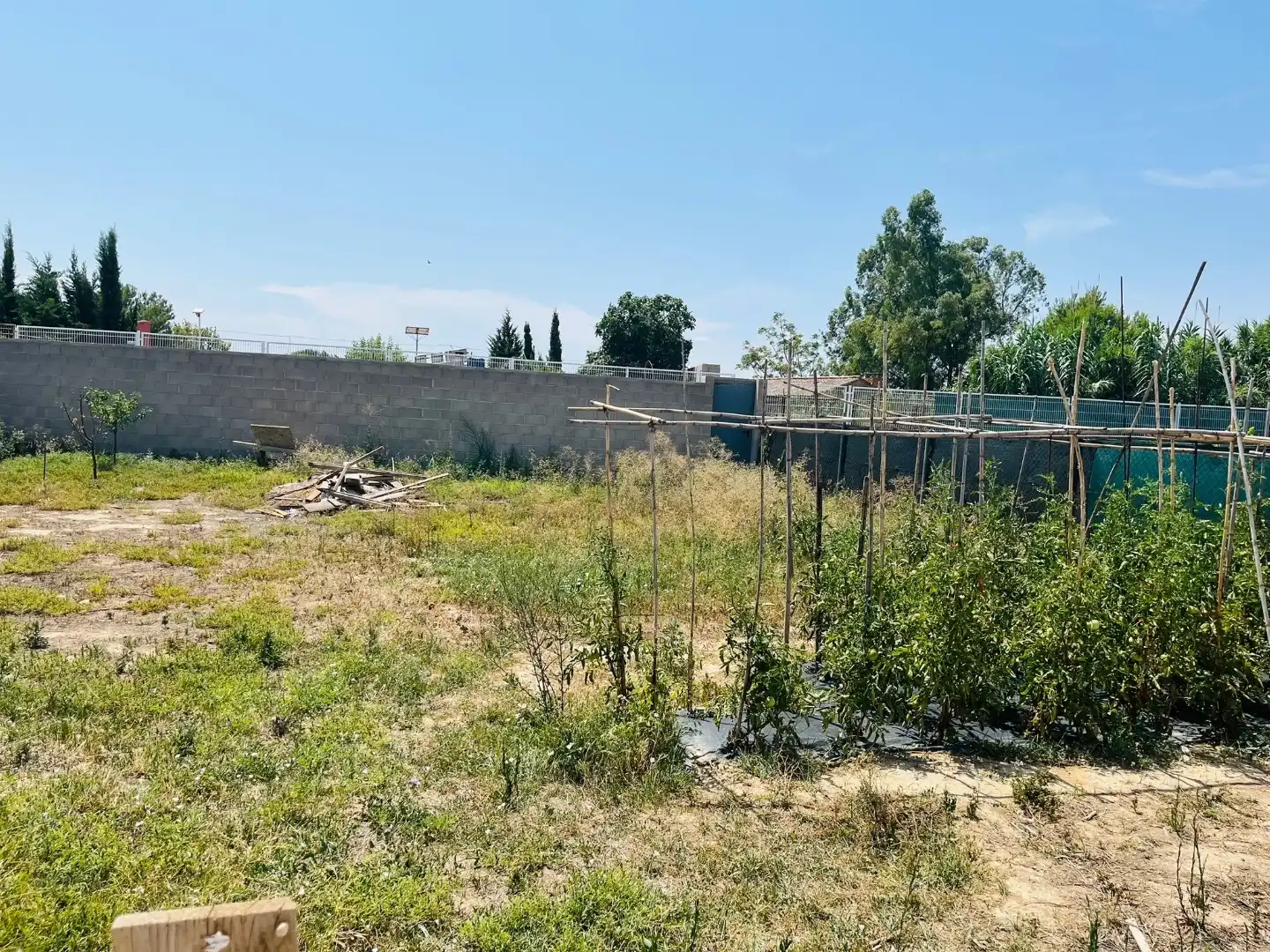 Rustikales Grundstück zum Verkauf in Avenida palafox 25, imagen 14