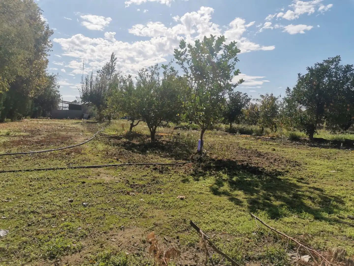 Terreni e lotti in vendita a Poblado Villanueva de la Serena 48, imagen 5