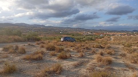 Terreno rustico, en Cañada Capitá, Los Gallardos., immagine 4