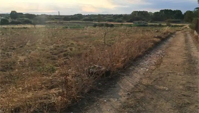 Terreny residencial en venda a El Quinta De La Casa Nova ( Cl Panedes), imagen 16