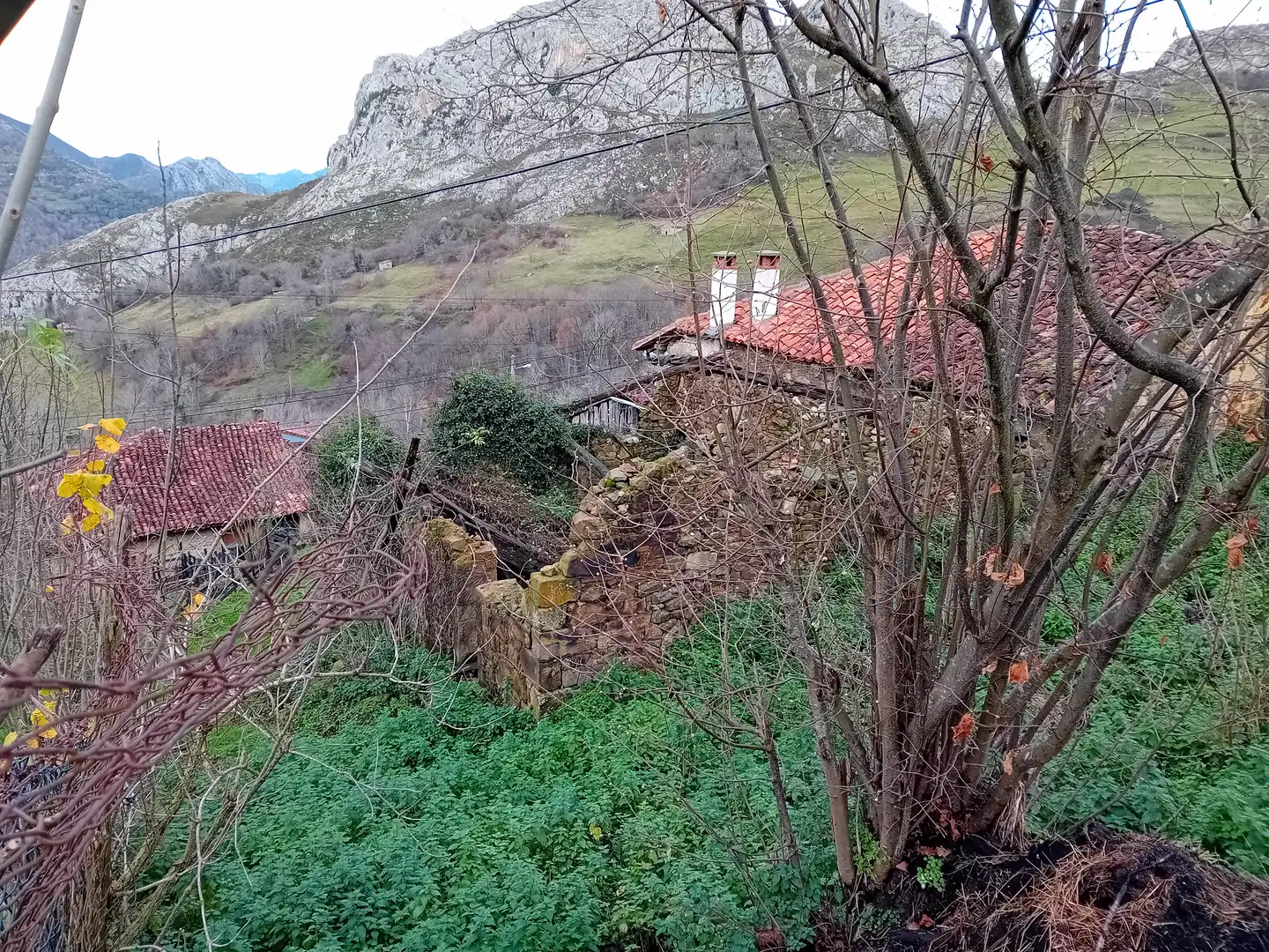 Vista exterior de Finca rústica en venta en Amieva
